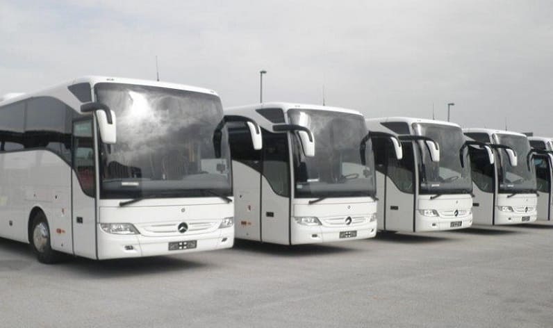 Veneto: Bus company in Venice in Venice and Italy